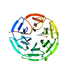 BU of 5fnr by Molmil