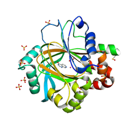 BU of 5fpa by Molmil