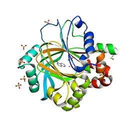 AU of 5fpa by Molmil