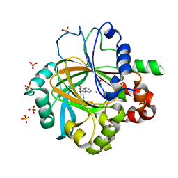 BU of 5fpb by Molmil