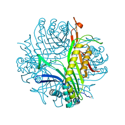 BU of 5frc by Molmil