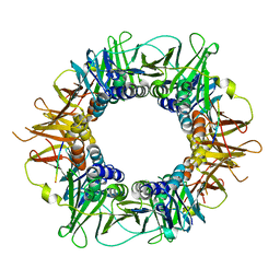 BU of 5frq by Molmil