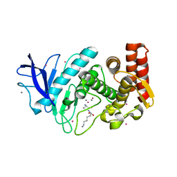 BU of 5fsp by Molmil