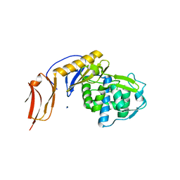 BU of 5fsr by Molmil