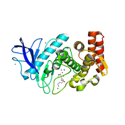 BU of 5fss by Molmil