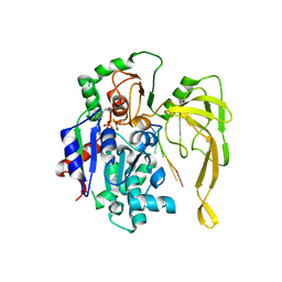 BU of 5fte by Molmil