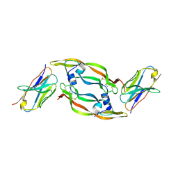 BU of 5fv1 by Molmil