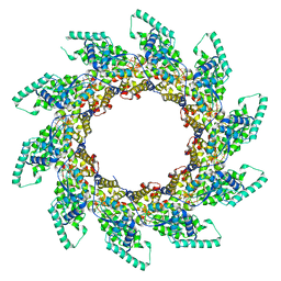 BU of 5fvc by Molmil