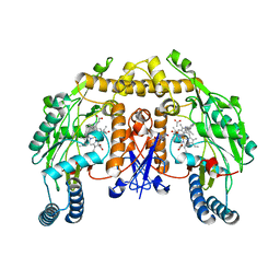 BU of 5fvs by Molmil