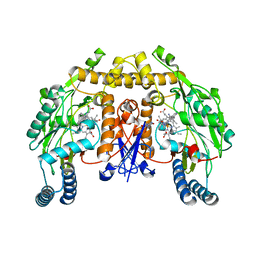 BU of 5fvt by Molmil