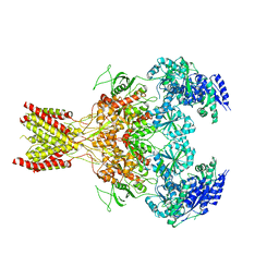 BU of 5fxh by Molmil