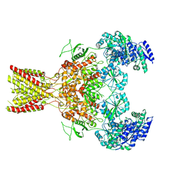 BU of 5fxi by Molmil