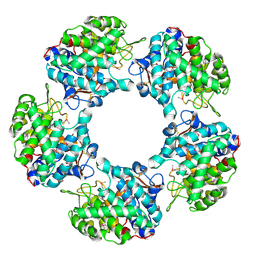 BU of 5g1v by Molmil