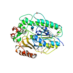 BU of 5g2t by Molmil