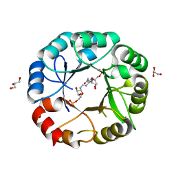 BU of 5g4w by Molmil