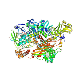 BU of 5g5g by Molmil