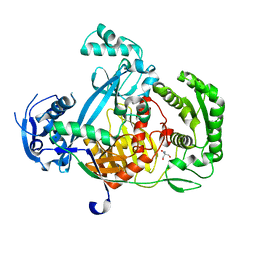 BU of 5g5s by Molmil