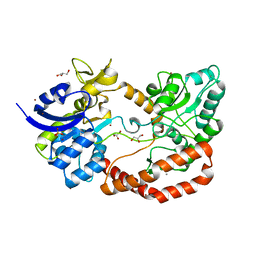 BU of 5g5y by Molmil