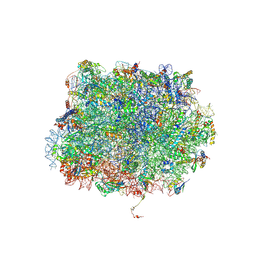 BU of 5gak by Molmil