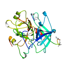 BU of 5gds by Molmil