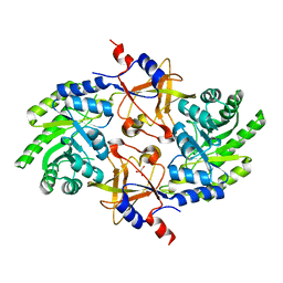 BU of 5gjm by Molmil