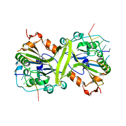 BU of 5gkp by Molmil