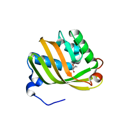 BU of 5gkw by Molmil