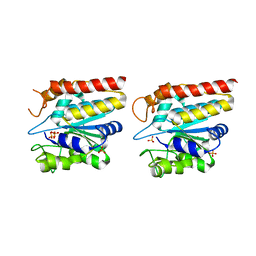 BU of 5gkx by Molmil