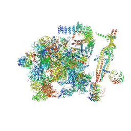 BU of 5gm6 by Molmil