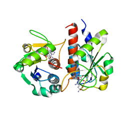 BU of 5gm8 by Molmil