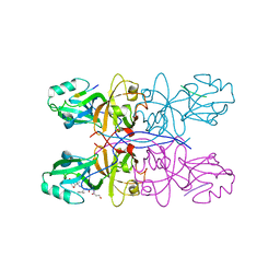 BU of 5gmi by Molmil