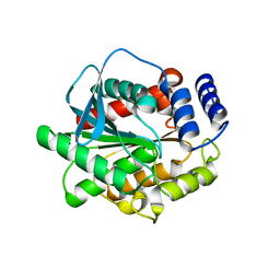 BU of 5gms by Molmil