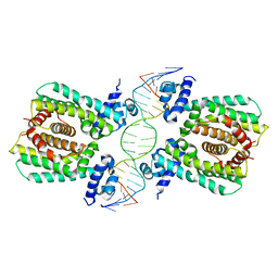 AU of 5gpc by Molmil