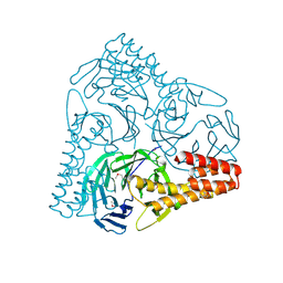 BU of 5gvb by Molmil