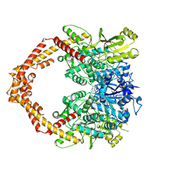 BU of 5gwi by Molmil