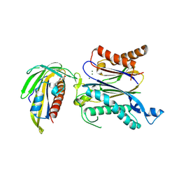 BU of 5gwp by Molmil