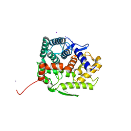 BU of 5gzh by Molmil