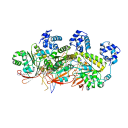 BU of 5h1c by Molmil