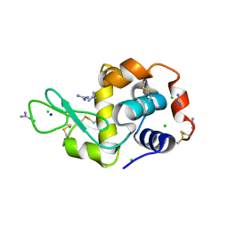 AU of 5h6e by Molmil