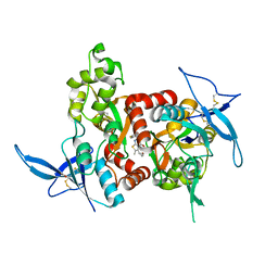 AU of 5h8r by Molmil