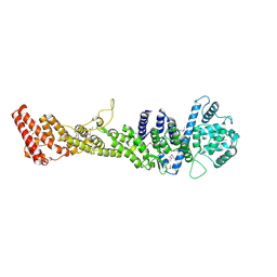 BU of 5hb2 by Molmil