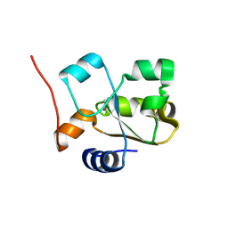 BU of 5hbl by Molmil