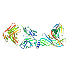 BU of 5hbv by Molmil