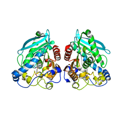 BU of 5hc2 by Molmil