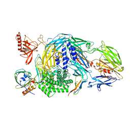 AU of 5hcc by Molmil