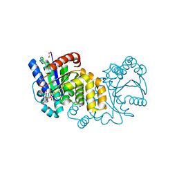 BU of 5hci by Molmil