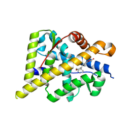 BU of 5hcv by Molmil