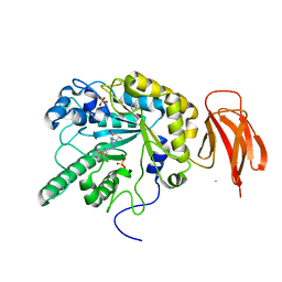 BU of 5hdr by Molmil