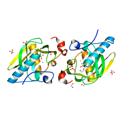 BU of 5hgw by Molmil