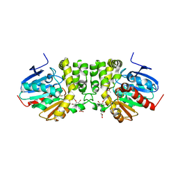 BU of 5hkb by Molmil